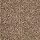 Mohawk Carpet: Tonal Chic I Desert Cackle
